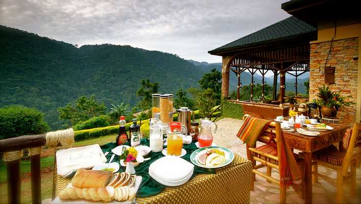 Silverback Lodge Silverback Lodge